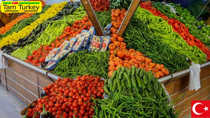 افزایش صادرات میوه و سبزیجات تازه ترکیه