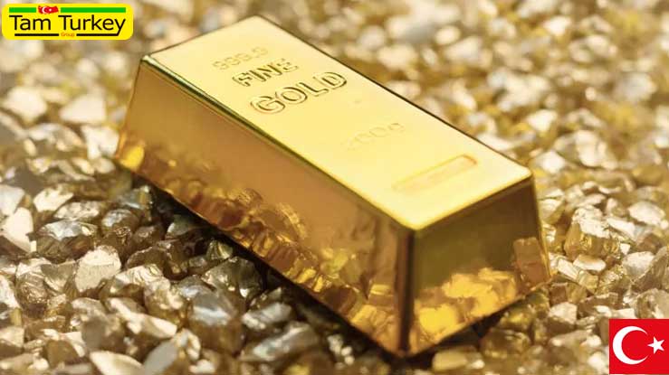 قیمت ارز و طلا در بازار آزاد استانبول | سه‌شنبه 20 سپتامبر 2022