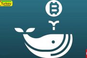 The entrance of 141 new Bitcoin whales indicates an inevitable bullish uptrend