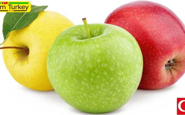افزایش 65 درصدی صادرات سیب ترکیه طی 9 ماه امسال