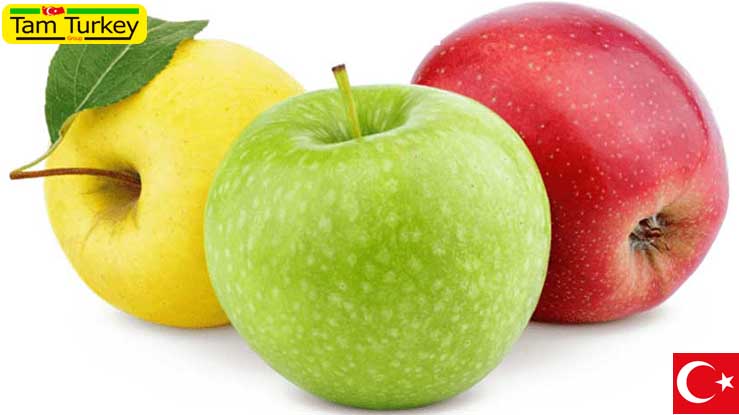 افزایش 65 درصدی صادرات سیب ترکیه طی 9 ماه امسال